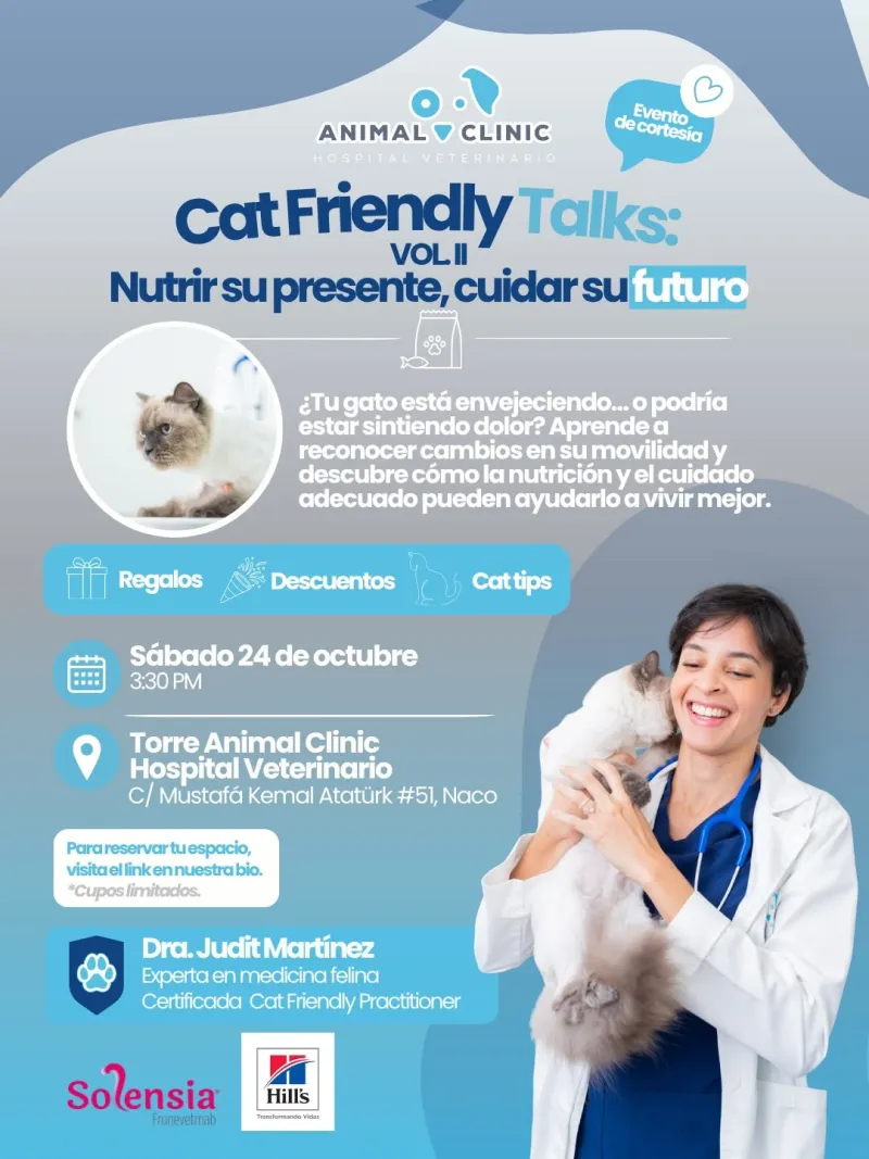 Cat Friendly Talks