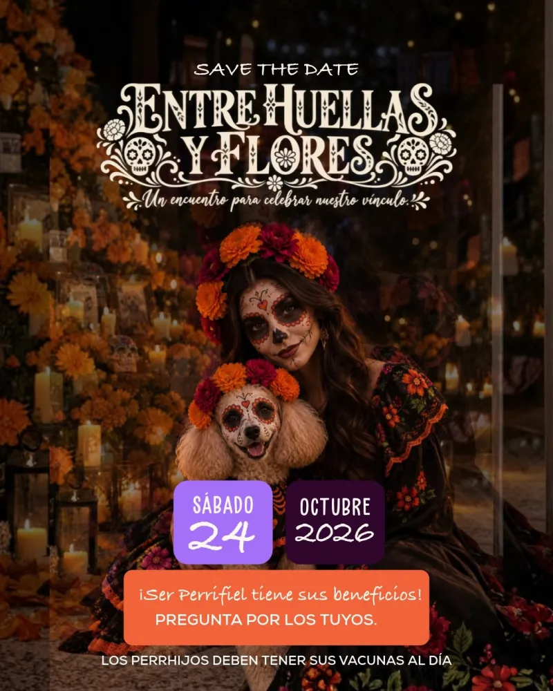 Entre Huellas y Flores
