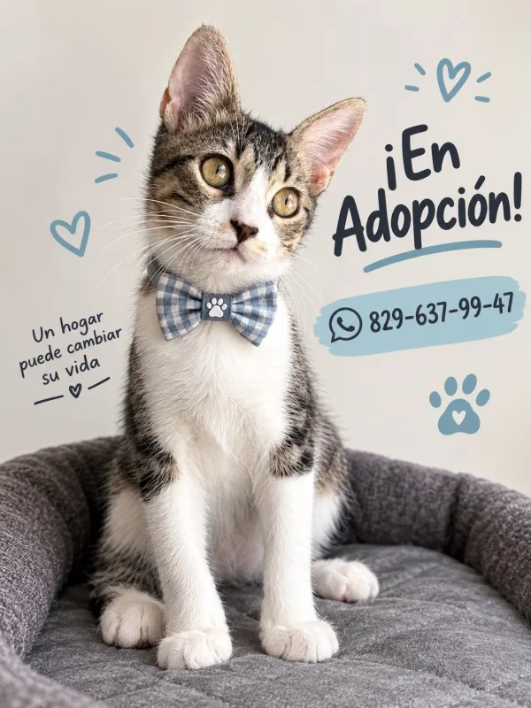 Foto de dycrescateanimal